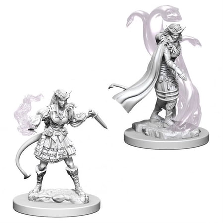 Nolzurs Marvelous Miniatures Tiefling Female Sorcerer