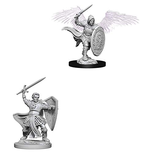 Nolzurs Marvelous Miniatures Aasimar Male Paladin