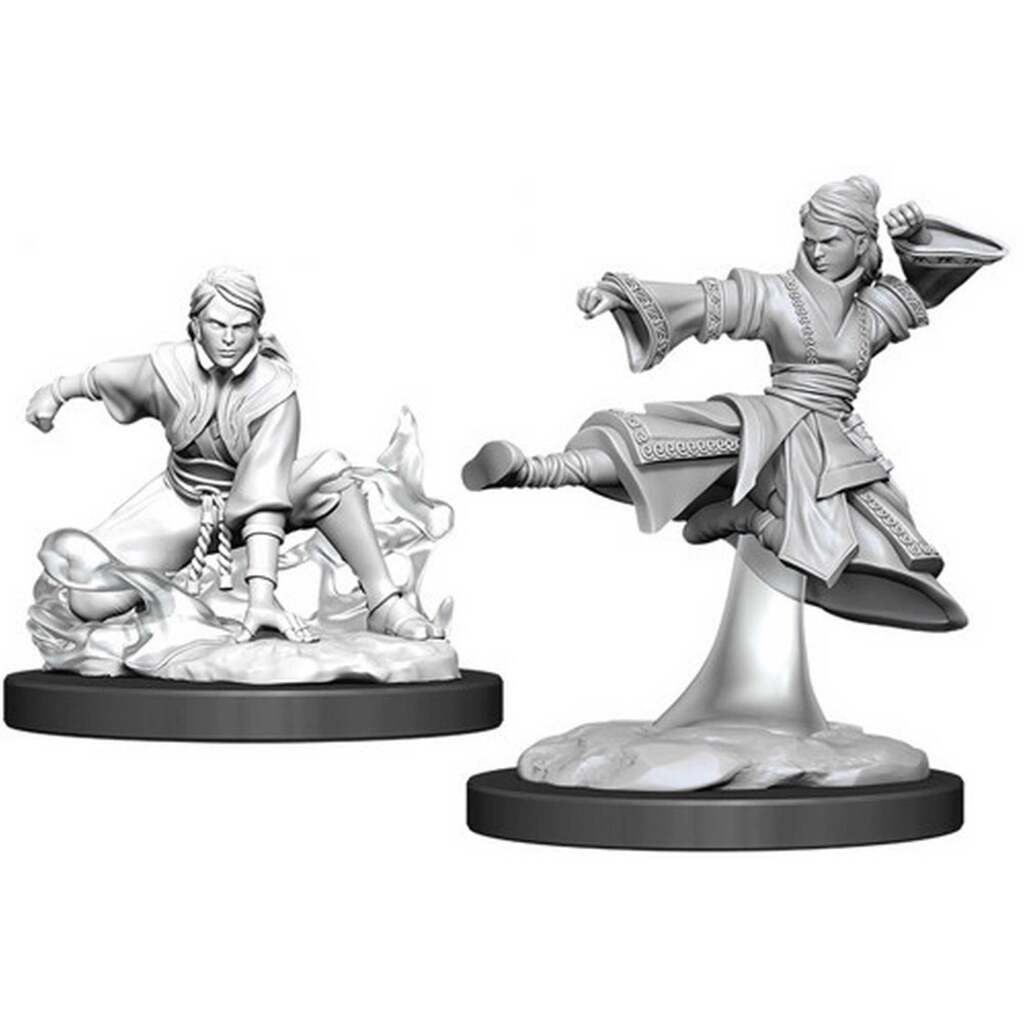 Nolzurs Marvelous Miniatures Female Human Monk