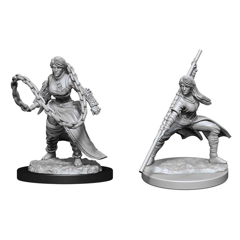 Nolzurs Marvelous Miniatures Human Monk Female