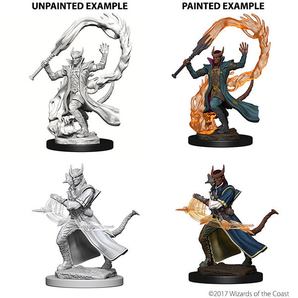 Nolzurs Marvelous Miniatures Tiefling Male Sorcerer