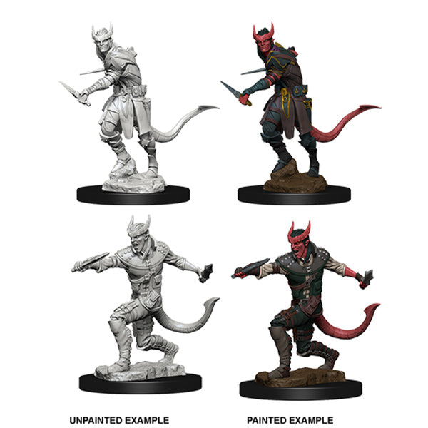 Nolzurs Marvelous Miniatures Tiefling Male Rogue