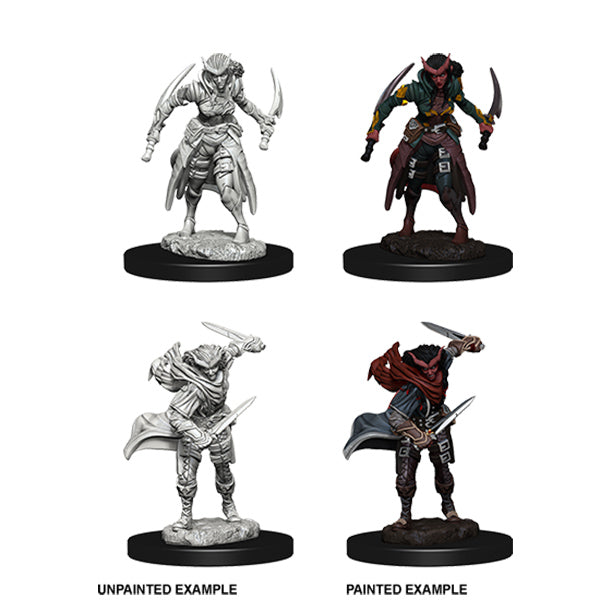 Nolzurs Marvelous Miniatures Tiefling Female Rogue