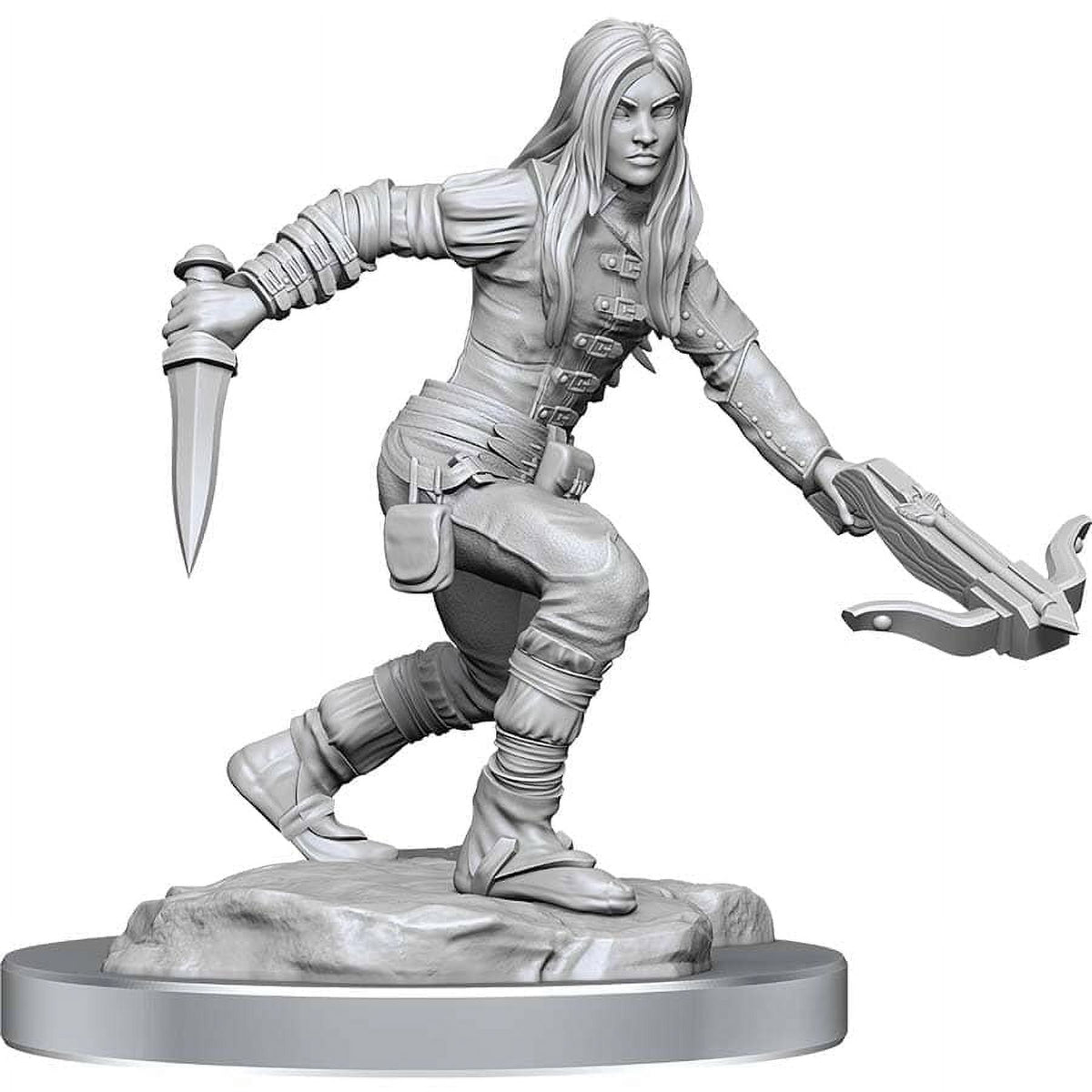 Nolzurs Marvelous Miniatures Half-Elf Rogue Female