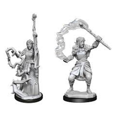 Nolzurs Marvelous Miniatures Firbolg Druid Female