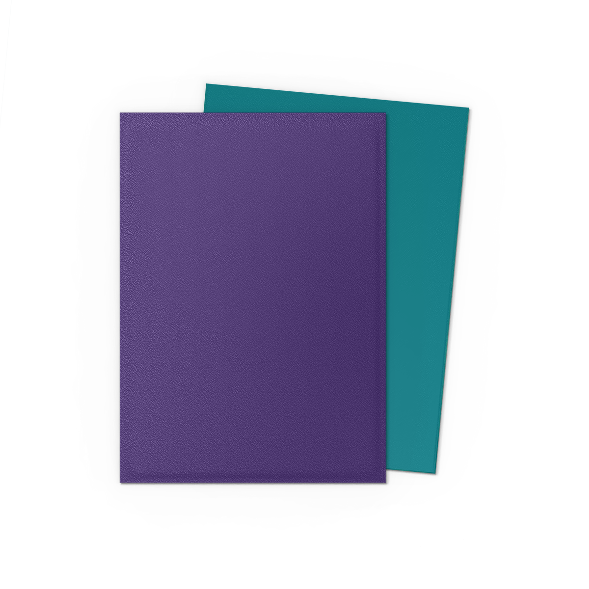 Dragon Shield Dual Matte - Soul & Petrol