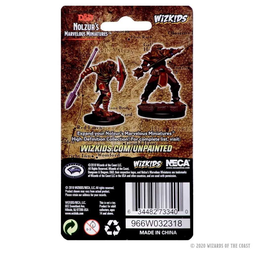 Nolzurs Marvelous Miniatures Dragonborn Male Fighter