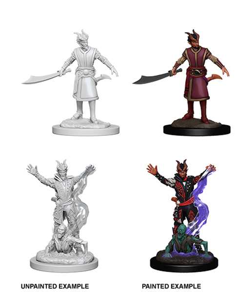 Nolzurs Marvelous Miniatures Male Tiefling Warlock