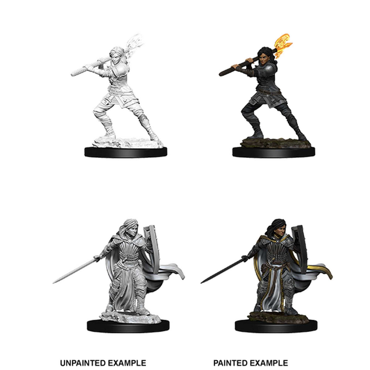 Nolzurs Marvelous Miniatures Female Human Paladin