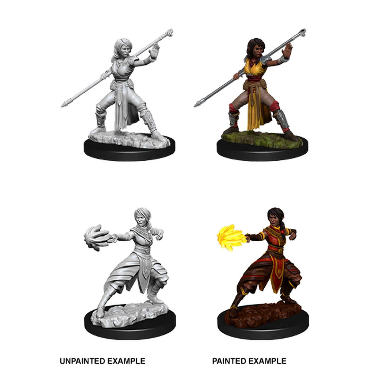Nolzurs Marvelous Miniatures Female Half-Elf Monk