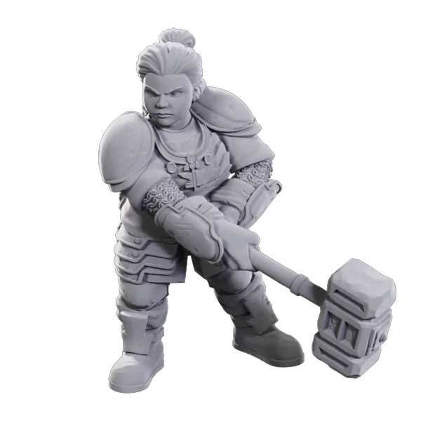 Wizkids D&D Nolzurs Marvelous Miniatures 50th Anniversary Dwarves