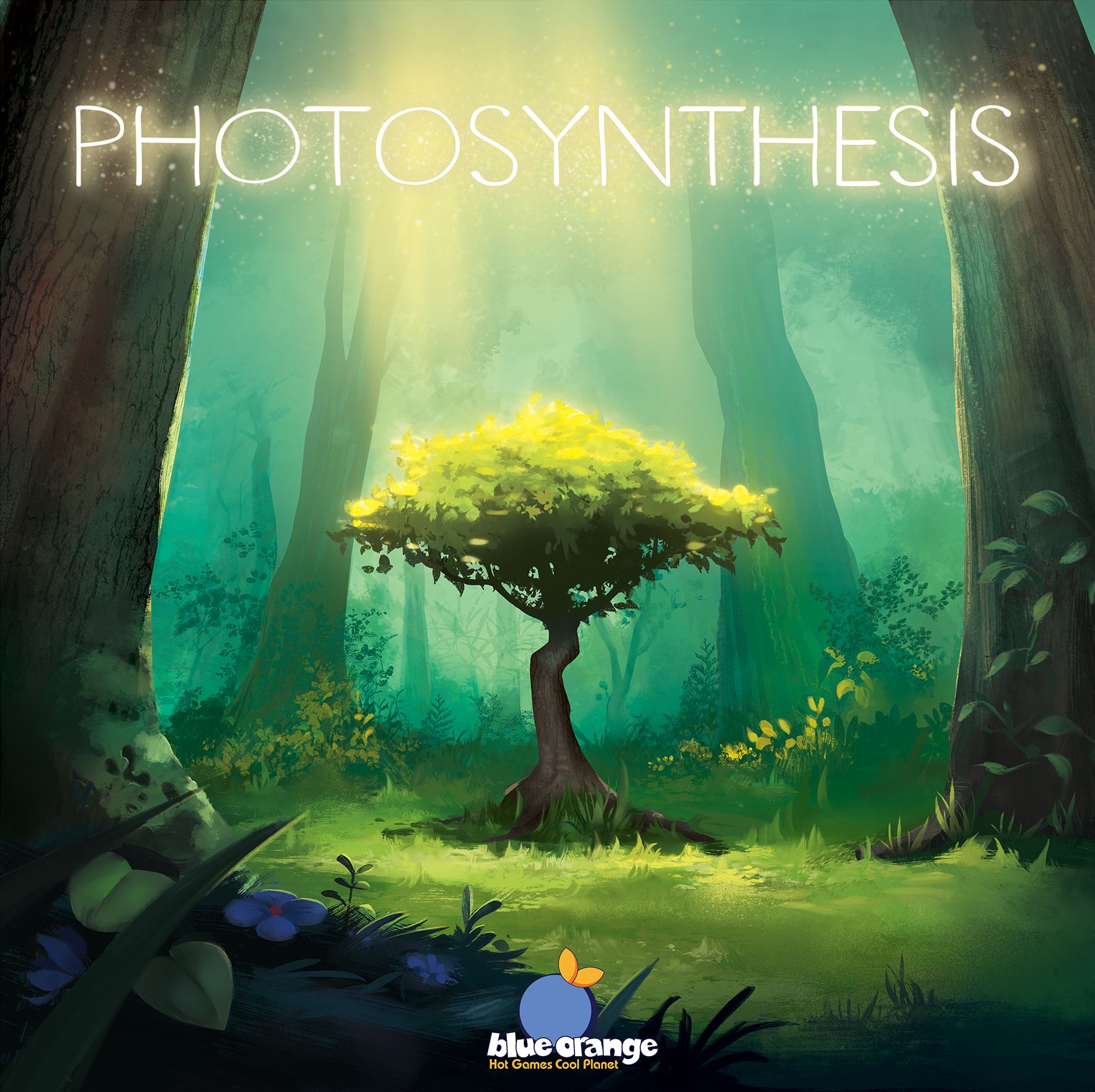 Photosynthesis board game box